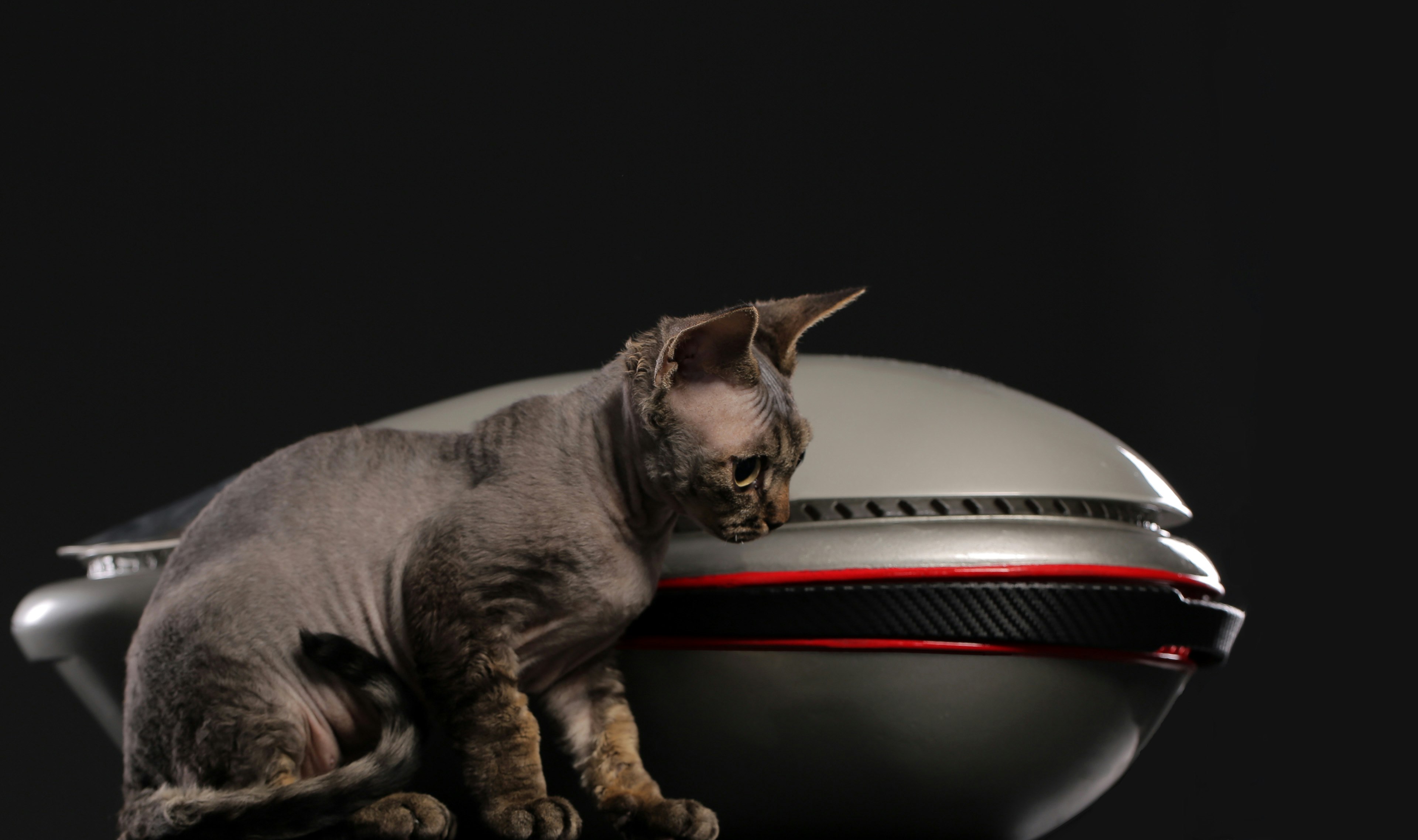 THE WORLD'S 1ST ERGONOMIC PET CARRIER gallery image