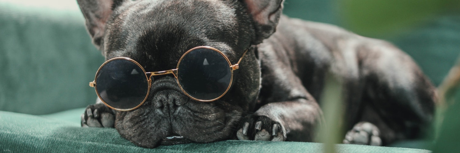 ProductHunt banner for @cramer