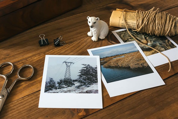 Polargram gallery image