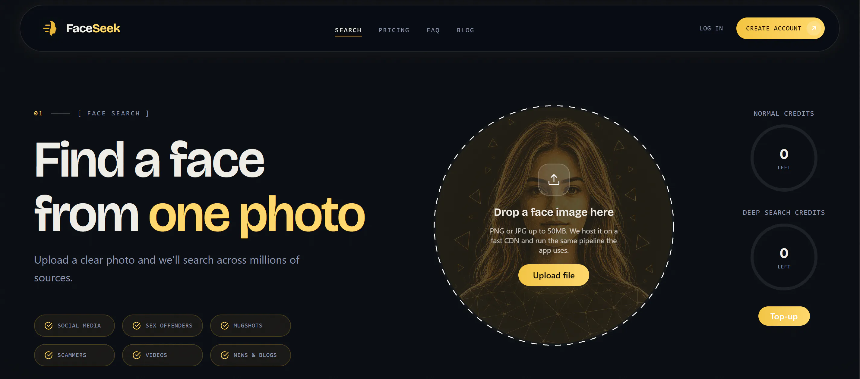 FaceSeek gallery image