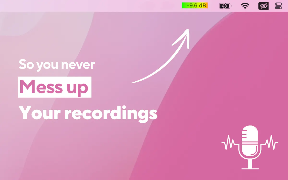 Mic Audio Level