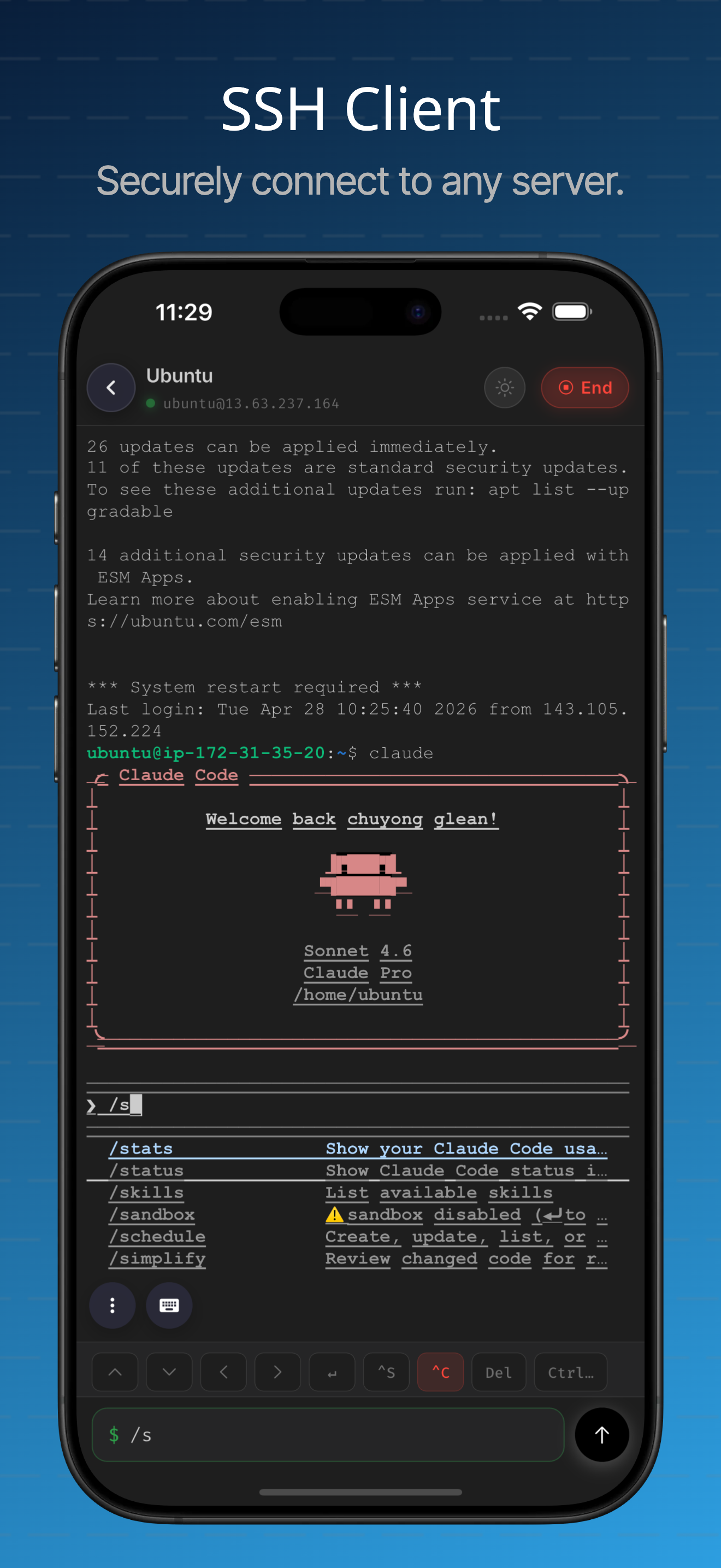 Termux Lite gallery image