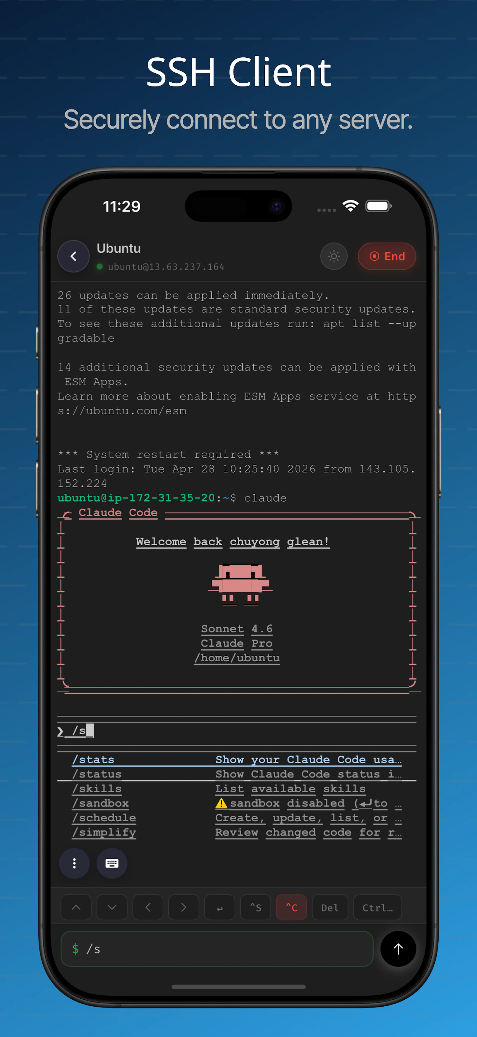 Termux Lite screenshot 2