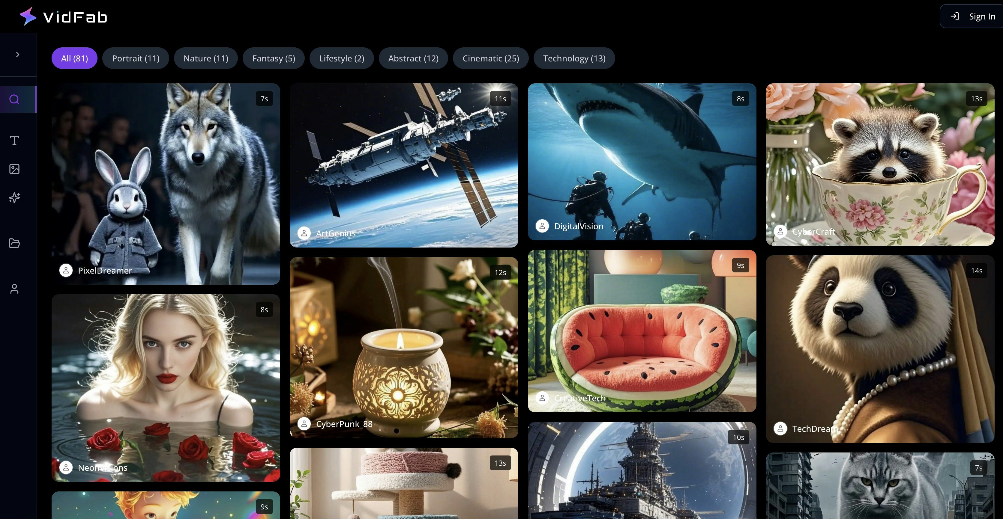 VidFab gallery image