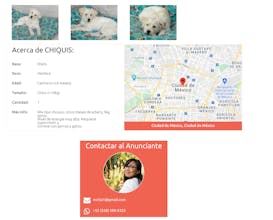 Localizoo gallery image