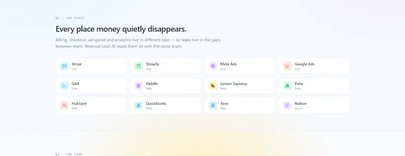 Revenue Leak AI screenshot 4