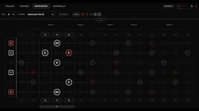 Soundgate Guitar Fretboard gallery image