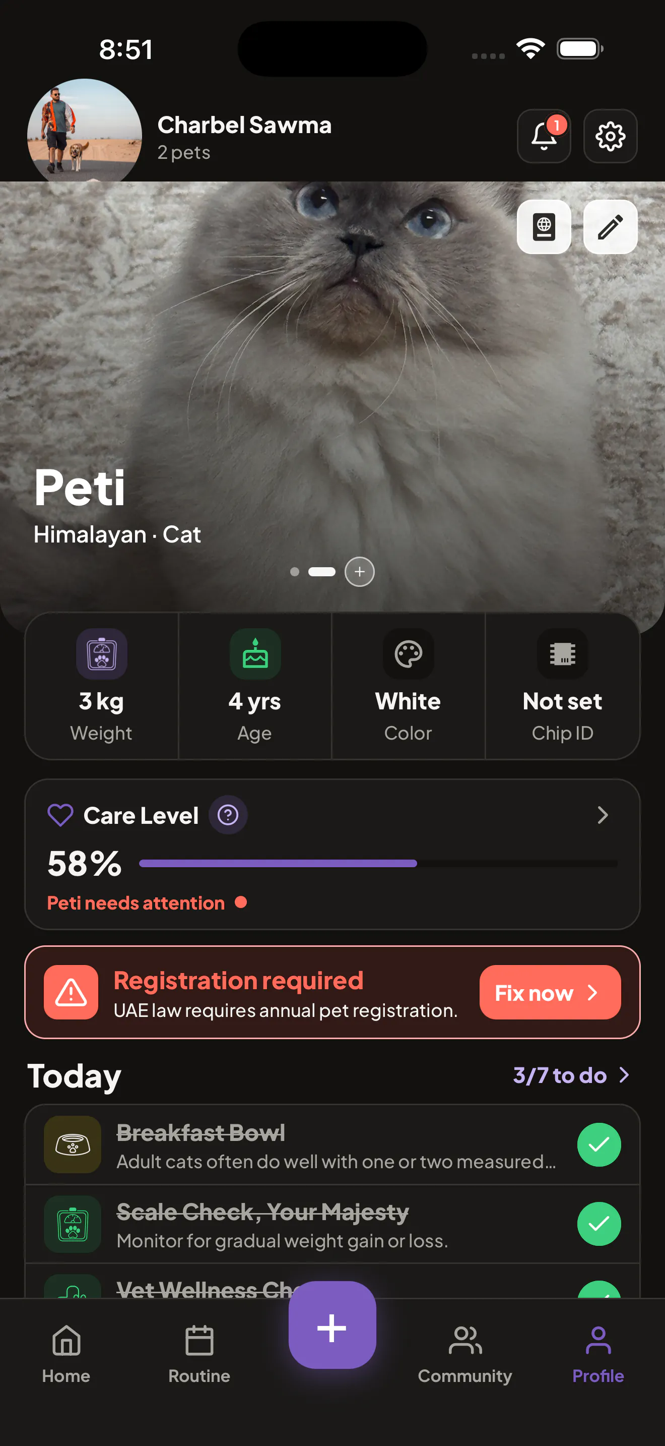 PetsGo gallery image