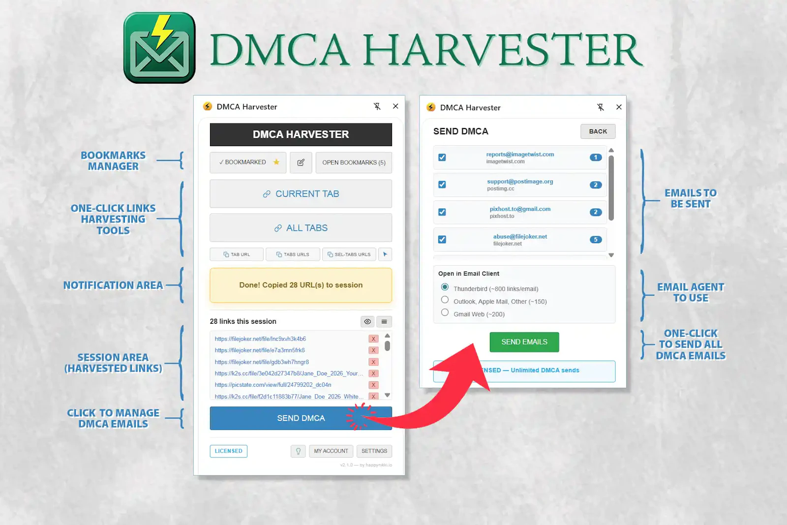DMCA Harvester - Automated Takedown Tool screenshot 3