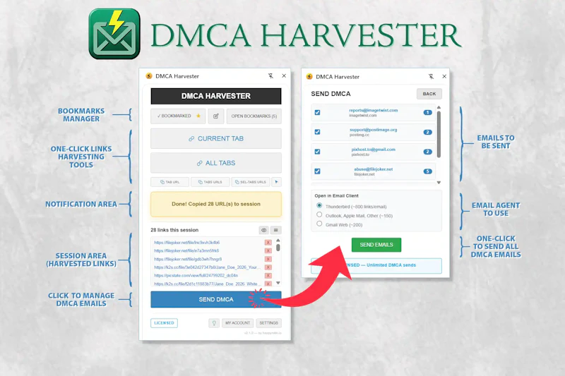 DMCA Harvester - Automated Takedown Tool screenshot 3