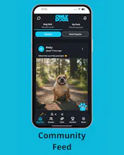 Only Dogs gallery image