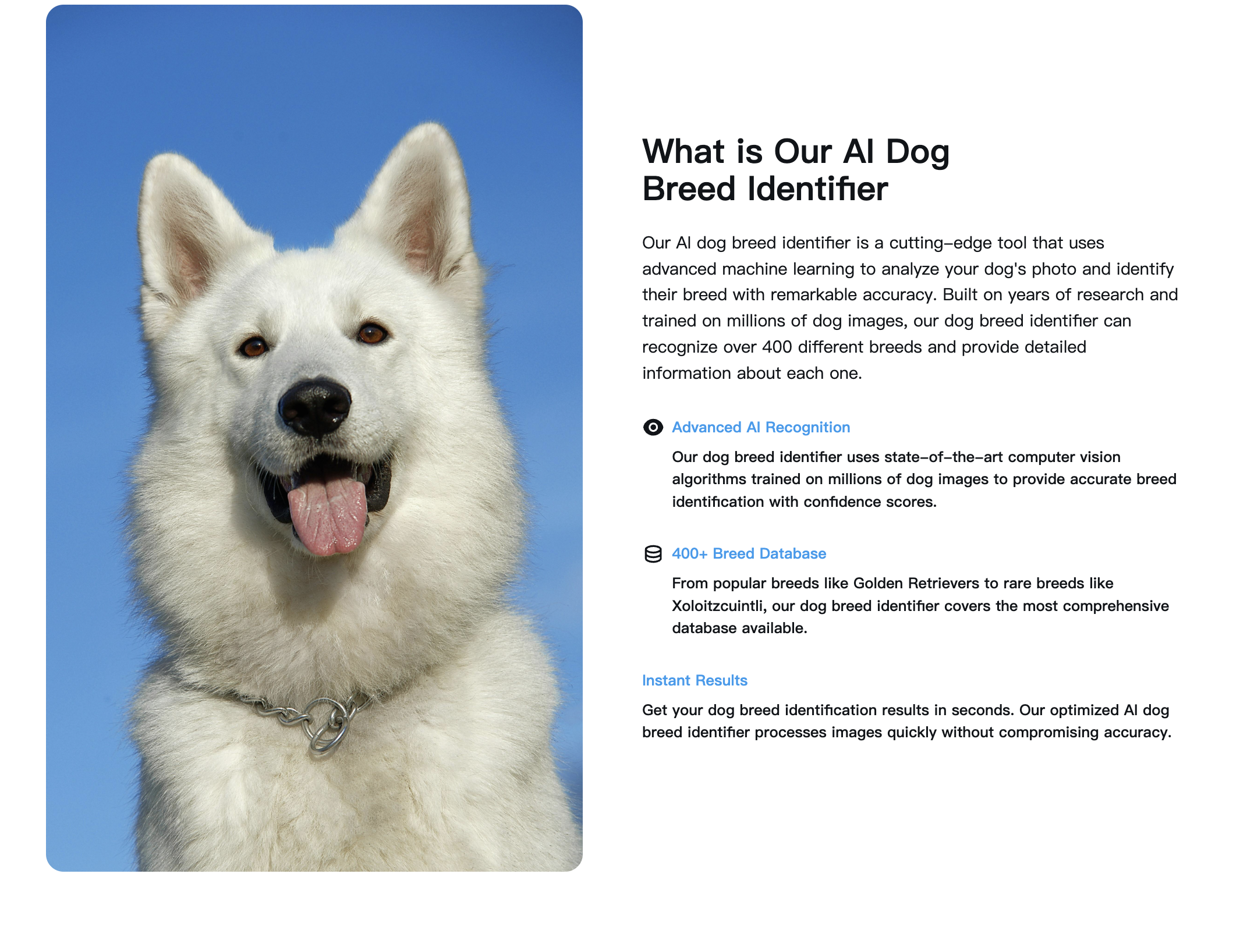 Identificatore di razza per cani media 2