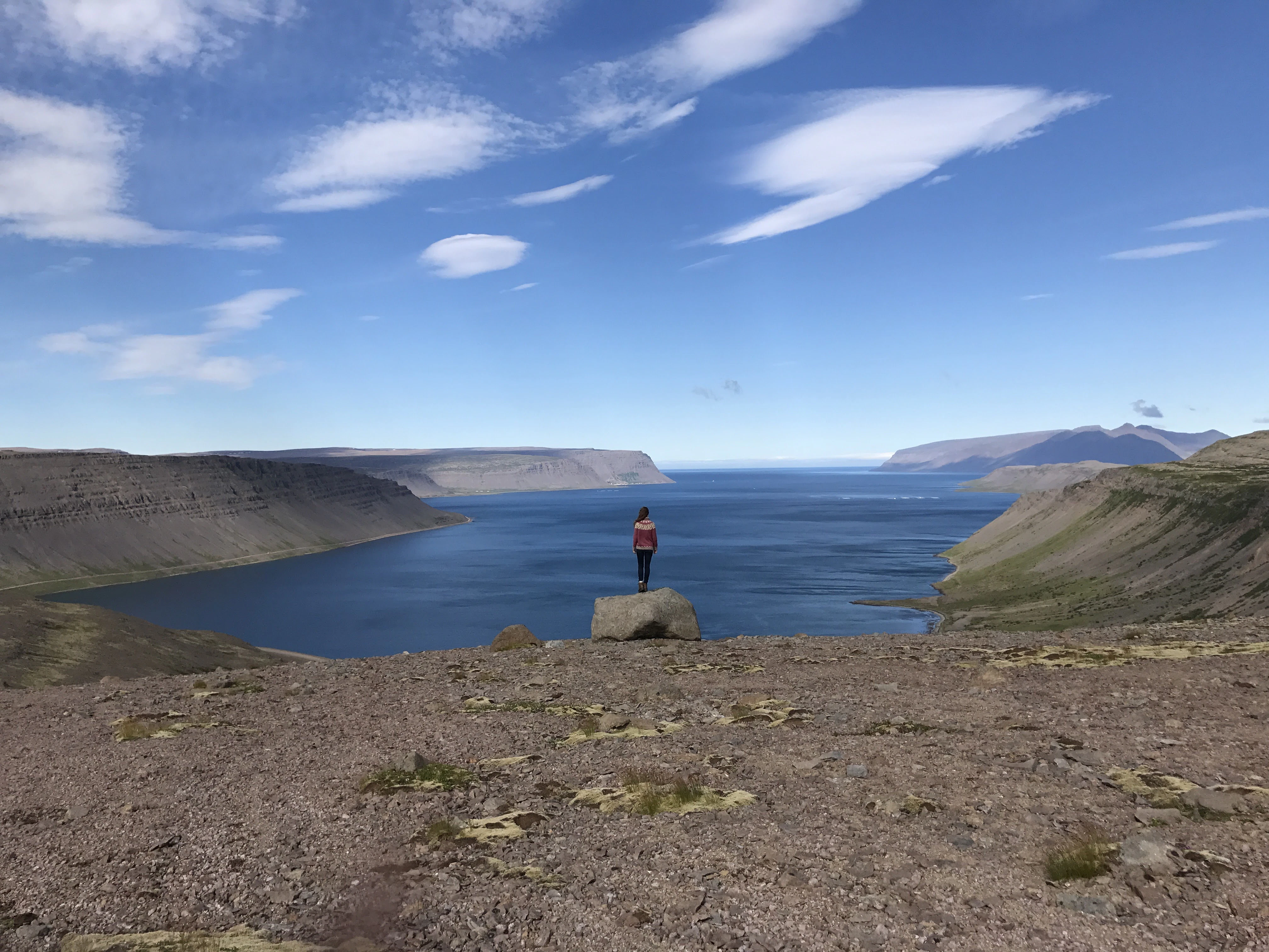 Stefania Olafsdottir cover