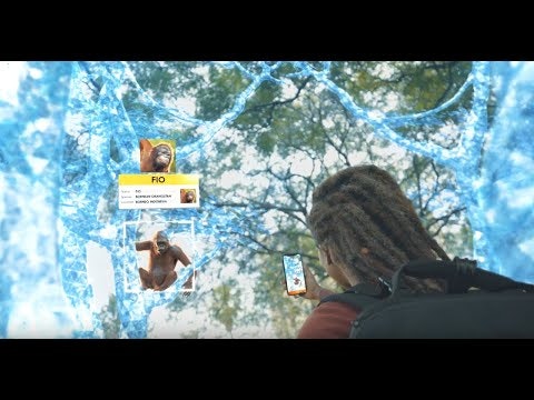 Wildeverse: a wildlife AR game gallery image