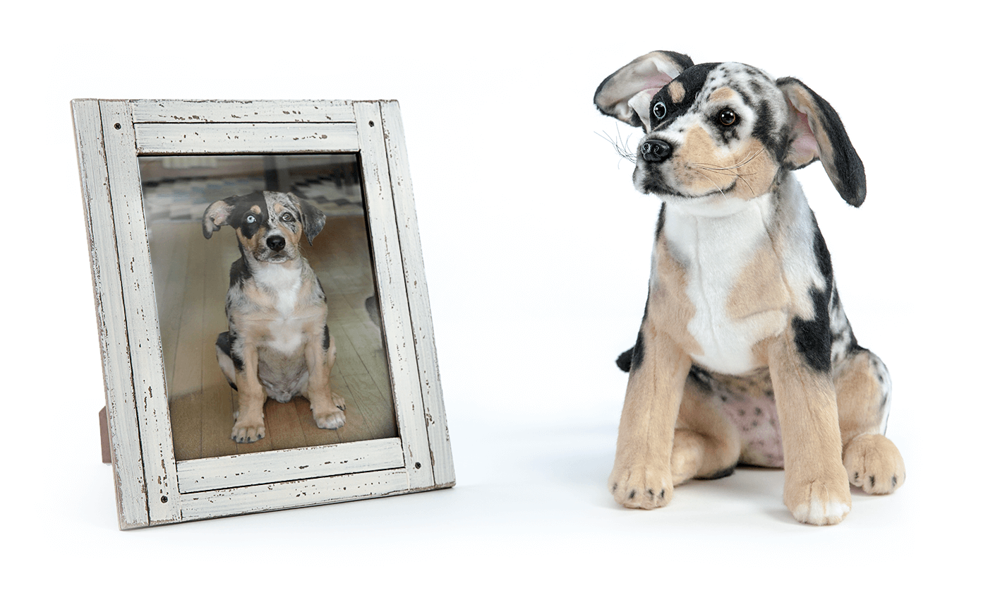 Cuddle Clones gallery image