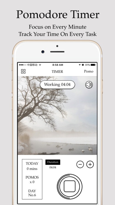 Cuckoo gallery image