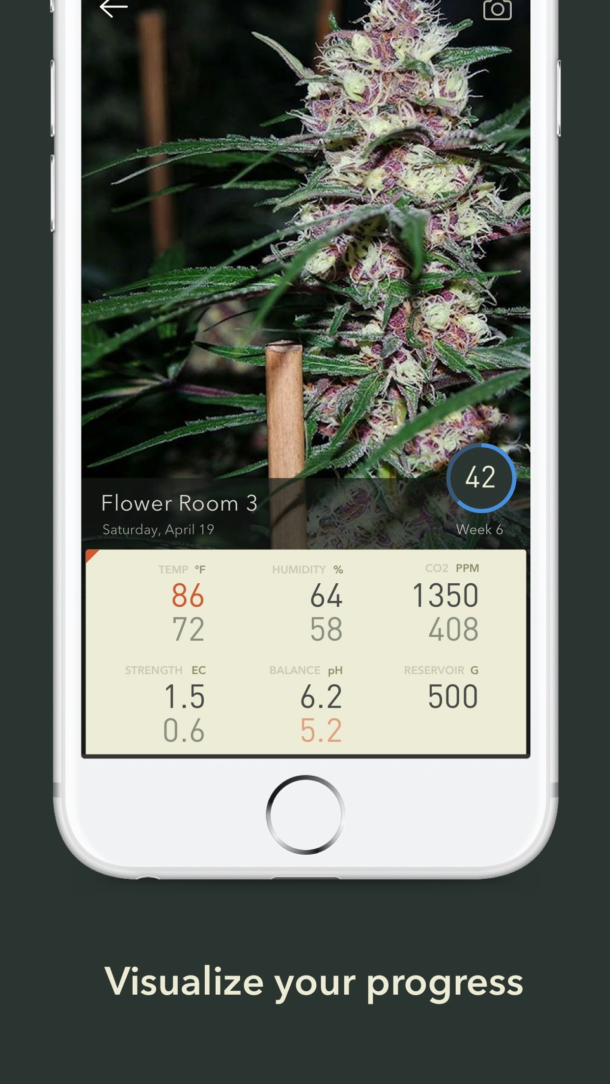 Botana gallery image