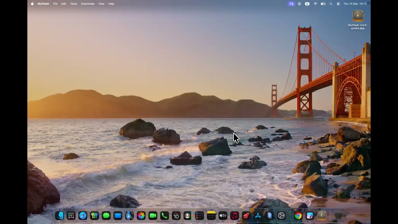 MicFlash Download Manager gallery image