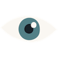 Domain Name Inspector