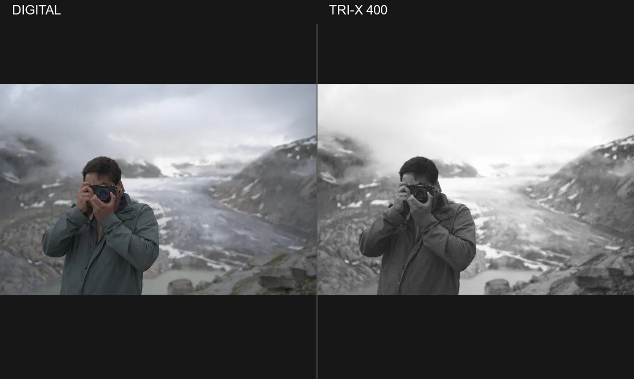 Silver Halide gallery image