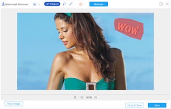 AnyMP4 Free Watermark Remover Online gallery image