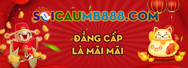 soicaumb888.com gallery image
