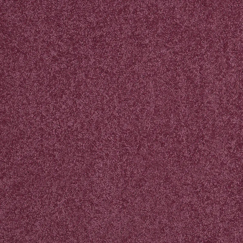 Carpets Online 제품 배너