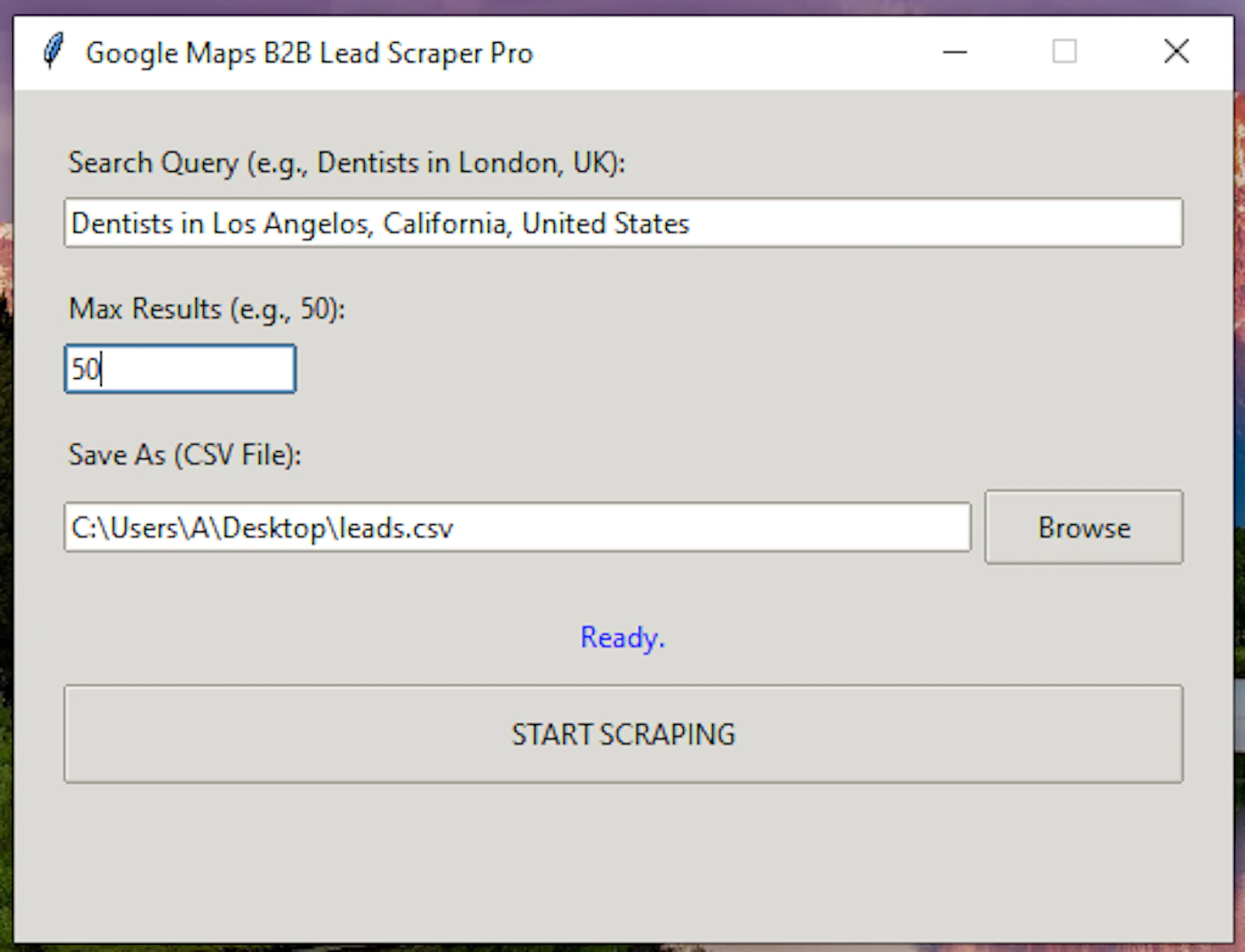 Google Maps B2B Scraper PRO screenshot 3