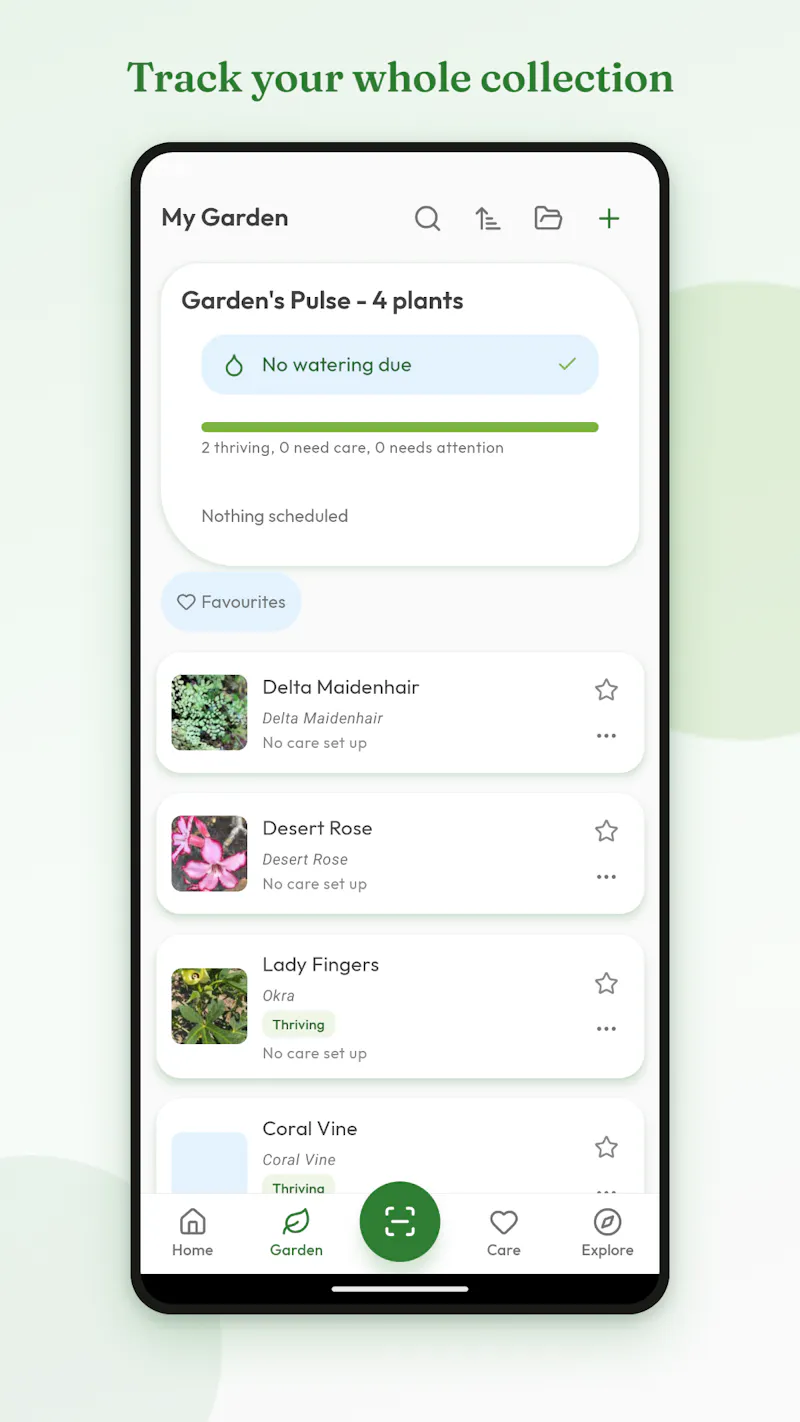 Raychis screenshot 4