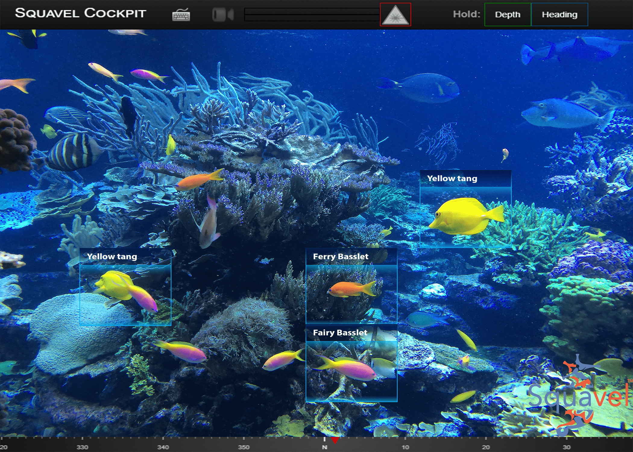 Squavel gallery image