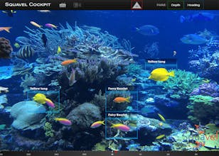 Squavel gallery image