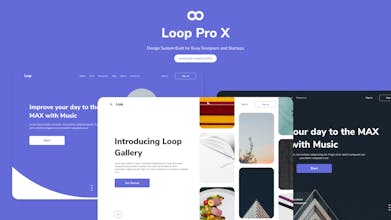 Loop Pro X gallery image
