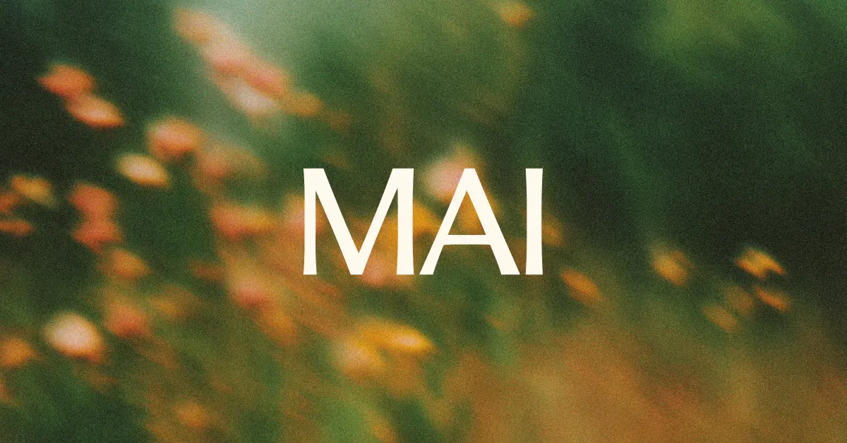 MAI screenshot 1
