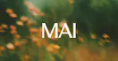 Microsoft MAI-Voice-2