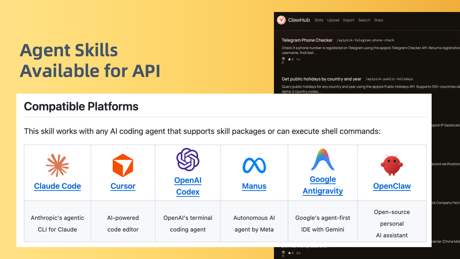 API Pick gallery image