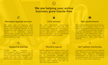 Awwwsome WordPress Maintenance & Hosting gallery image