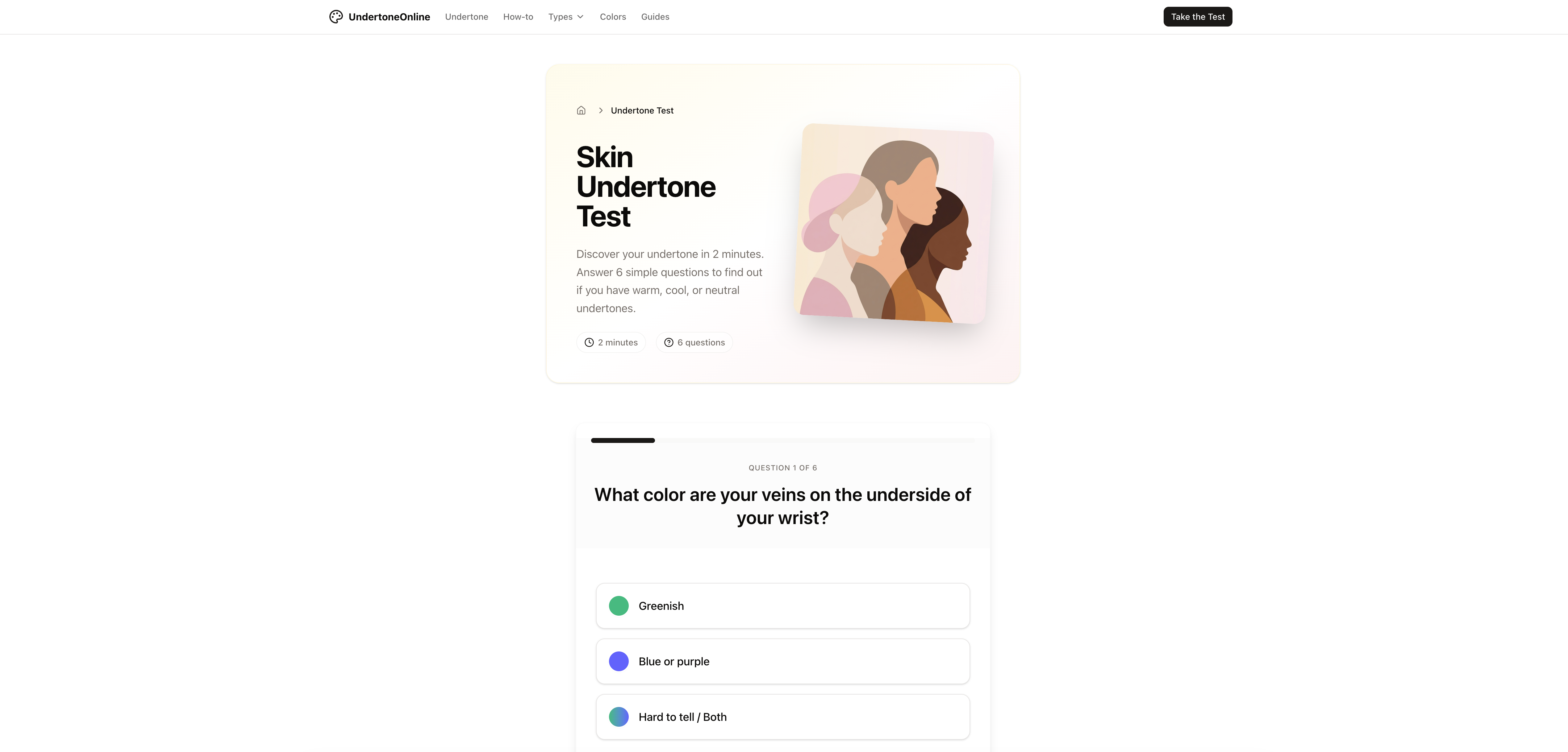 UndertoneOnline - Screenshot 4 showing product features and functionality