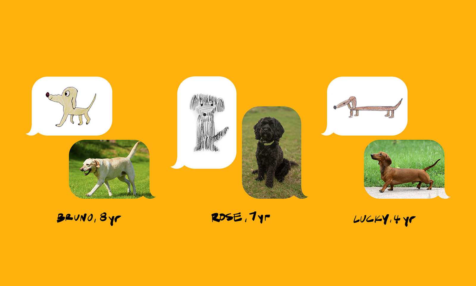 PEDIGREE - Rescue Doodles gallery image