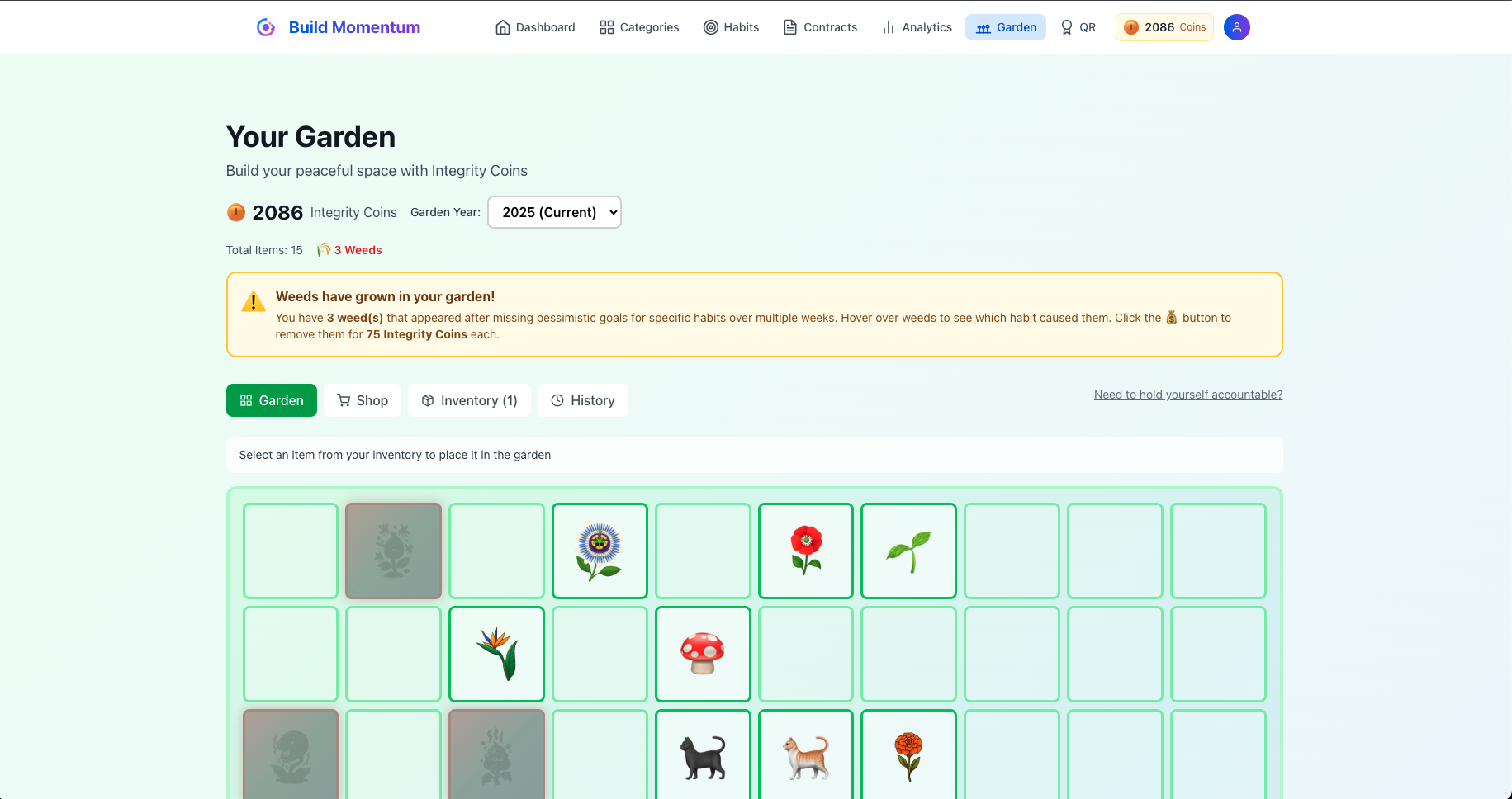 getbuildmomentum.com gallery image