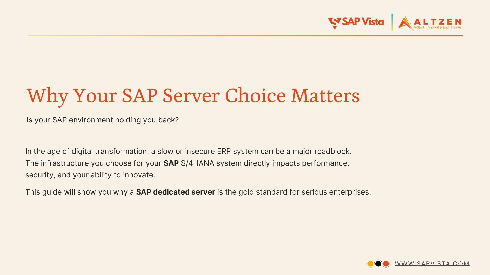 Media SAP Dedicated Server Access | SAPVista - SAP Infrastructure Partner for Corporates & Enterprises  2