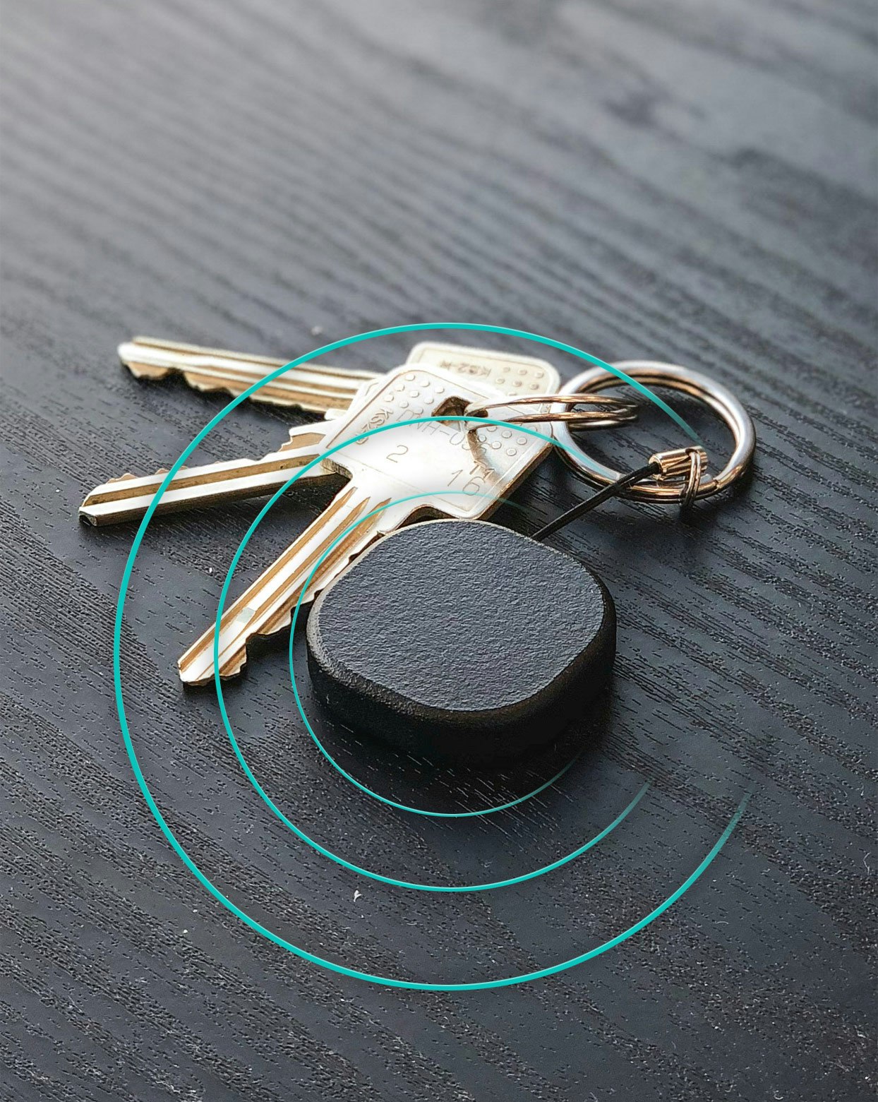 Tail it: Global GPS tracker gallery image