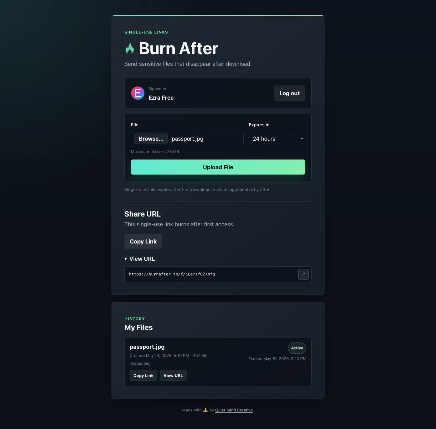 Burn After gallery image