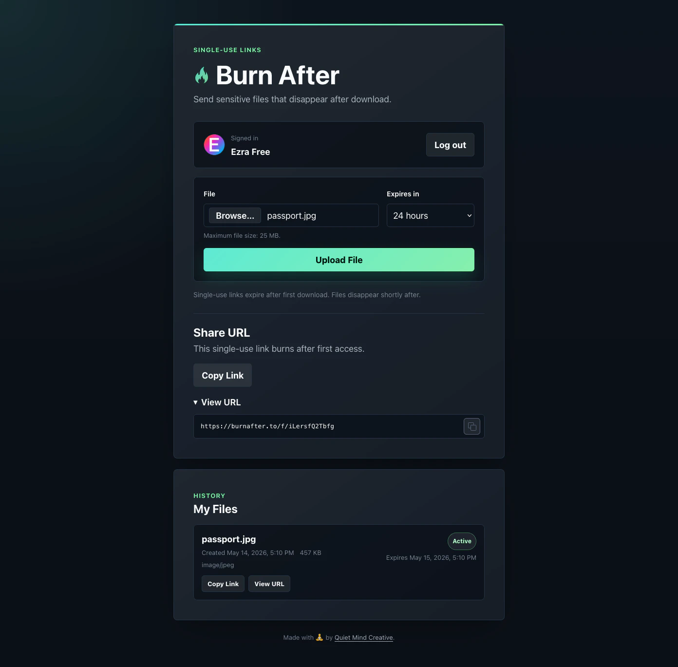 Burn After screenshot 2