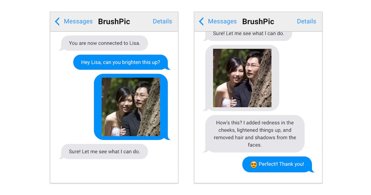 BrushPic media 1