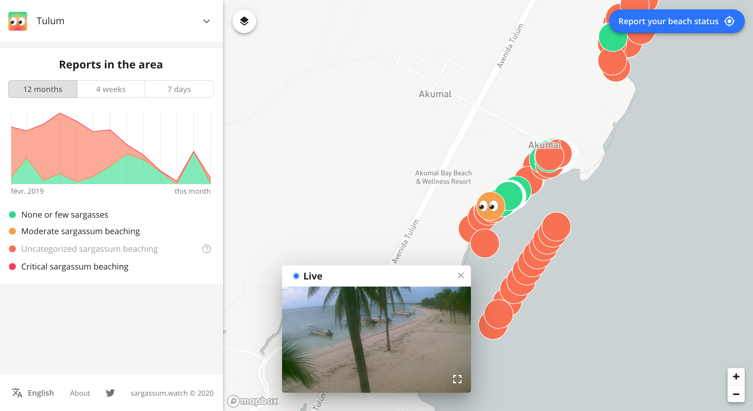 sargassum.watch gallery image