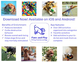 Paws and Play: Dog Enrichment gallery image