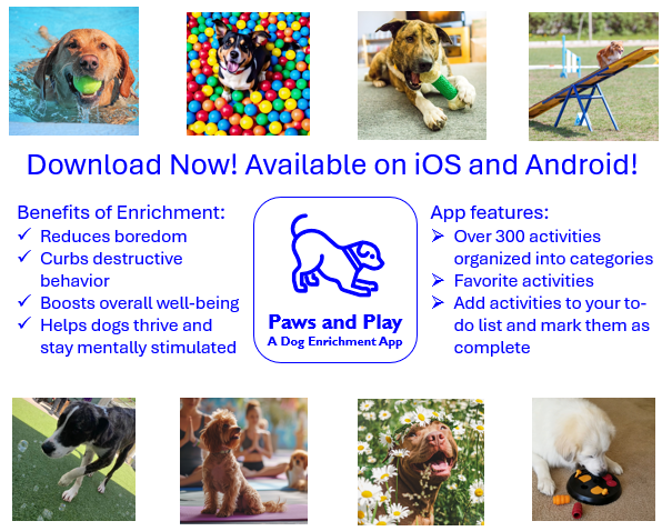 Paws and Play: Dog Enrichment media 2