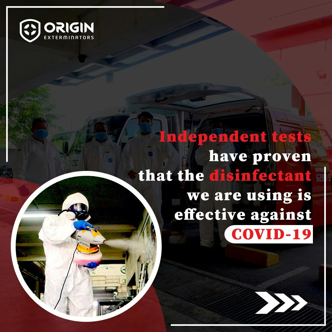Pest Control Services Singapore gallery image
