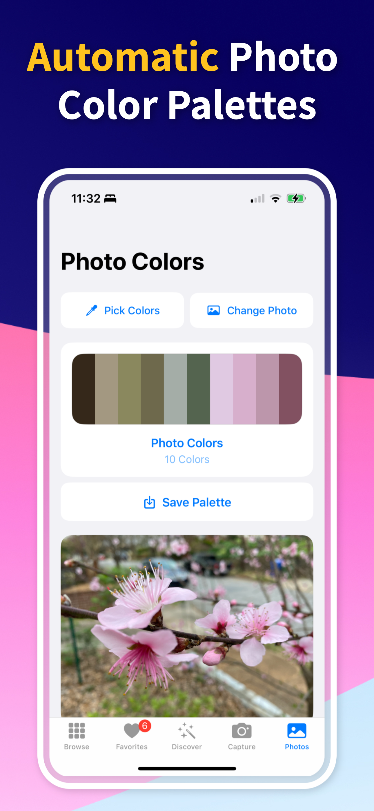 Descubre un color - Generar paletas de colores a partir de fotos verificar la accesibilidad media 10