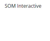 SOM Interactive